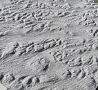 Тротуарная плитка "Байкал"