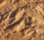 Облицовочный камень "Дворцовый"