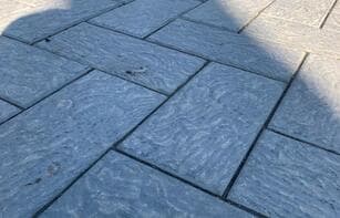 БРУСЧАТКА ЕВРОПЕЙСКАЯ