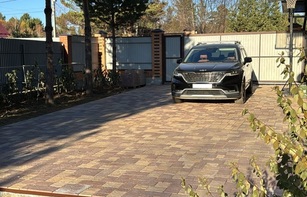 БРУСЧАТКА ЕВРОПЕЙСКАЯ