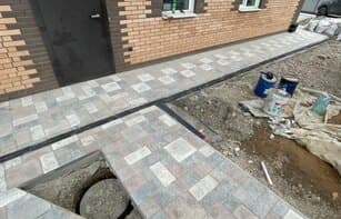 БРУСЧАТКА ЕВРОПЕЙСКАЯ