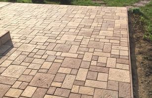 БРУСЧАТКА ЕВРОПЕЙСКАЯ