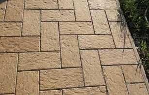 БРУСЧАТКА ЕВРОПЕЙСКАЯ