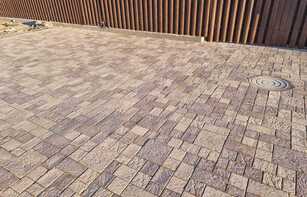 БРУСЧАТКА ЕВРОПЕЙСКАЯ