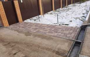 БРУСЧАТКА ЕВРОПЕЙСКАЯ