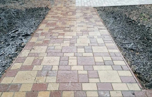 БРУСЧАТКА ЕВРОПЕЙСКАЯ