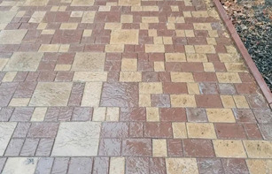 БРУСЧАТКА ЕВРОПЕЙСКАЯ