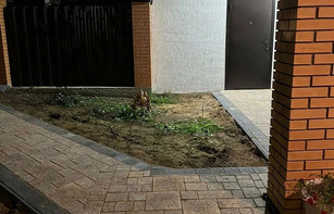 БРУСЧАТКА ЕВРОПЕЙСКАЯ