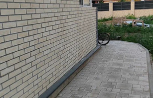 БРУСЧАТКА ЕВРОПЕЙСКАЯ