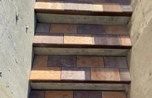 Европейская жёлто-оранжевый и коричневый