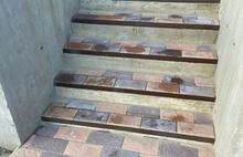 Европейская жёлто-оранжевый и коричневый