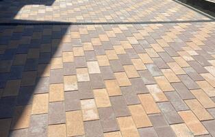 Европейская жёлто-оранжевый и коричневый