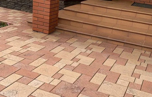 БРУСЧАТКА ЕВРОПЕЙСКАЯ