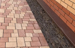 БРУСЧАТКА ЕВРОПЕЙСКАЯ