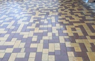 БРУСЧАТКА ЕВРОПЕЙСКАЯ