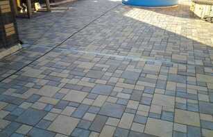 БРУСЧАТКА ЕВРОПЕЙСКАЯ