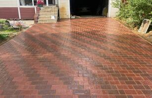 БРУСЧАТКА ЕВРОПЕЙСКАЯ