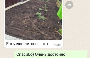Отзывы