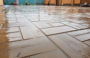 Калифорния дерево