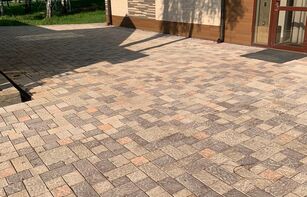 БРУСЧАТКА ЕВРОПЕЙСКАЯ