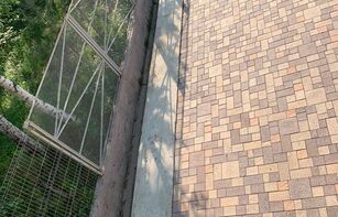 БРУСЧАТКА ЕВРОПЕЙСКАЯ