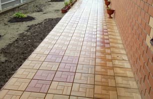 Калифорния дерево