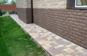 БРУСЧАТКА ЕВРОПЕЙСКАЯ