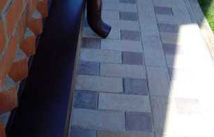 БРУСЧАТКА ЕВРОПЕЙСКАЯ