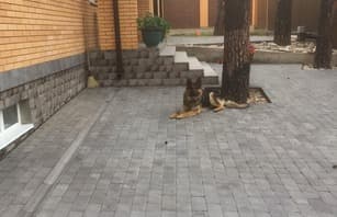 Мостовая Брусчатка