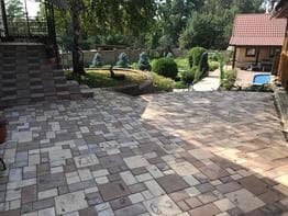 БРУСЧАТКА ЕВРОПЕЙСКАЯ