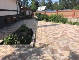 БРУСЧАТКА ЕВРОПЕЙСКАЯ