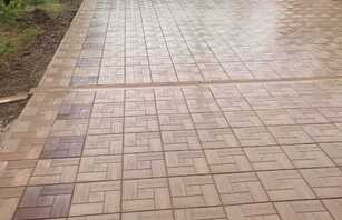 Калифорния дерево