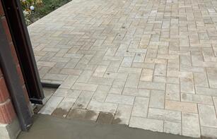 БРУСЧАТКА ЕВРОПЕЙСКАЯ