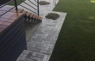 БРУСЧАТКА ГЛАДКАЯ