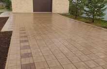 Калифорния дерево бежевая 11