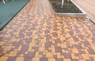 БРУСЧАТКА ЕВРОПЕЙСКАЯ