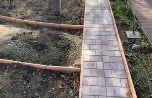 БРУСЧАТКА ЕВРОПЕЙСКАЯ