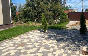 БРУСЧАТКА ЕВРОПЕЙСКАЯ