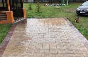 Калифорния дерево