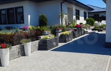 Античная неокрашенный