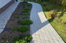 Арбатская тёмно-серая