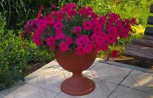 Тротуарная плитка "КВАДРАТ ГРЕЧЕСКИЙ"