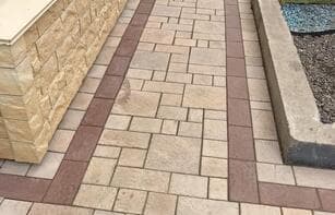 БРУСЧАТКА ЕВРОПЕЙСКАЯ