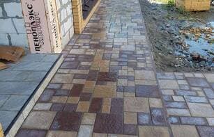 БРУСЧАТКА ЕВРОПЕЙСКАЯ