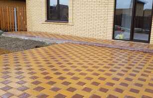 БРУСЧАТКА ЕВРОПЕЙСКАЯ