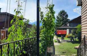 Тротуарная плитка Маэстро