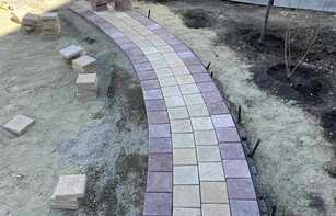 БРУСЧАТКА ЕВРОПЕЙСКАЯ