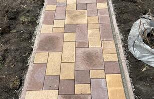 БРУСЧАТКА ЕВРОПЕЙСКАЯ