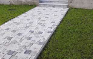 БРУСЧАТКА ЕВРОПЕЙСКАЯ