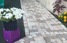 Римский брук кремовый светло-коричневый светло-бежевый 1